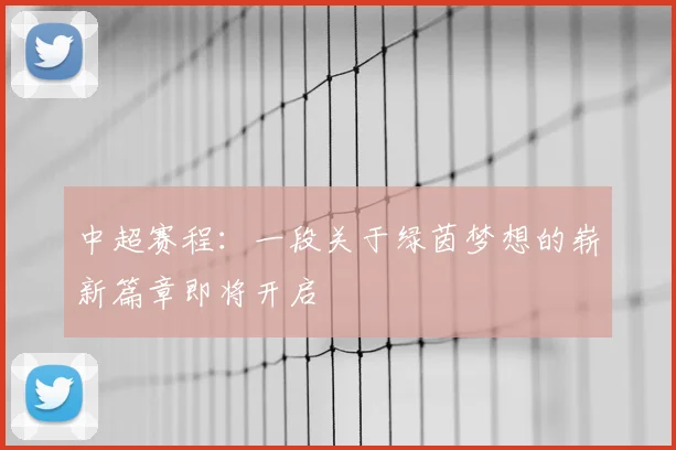 中超赛程：一段关于绿茵梦想的崭新篇章即将开启