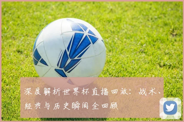 深度解析世界杯直播回放：战术、经典与历史瞬间全回顾