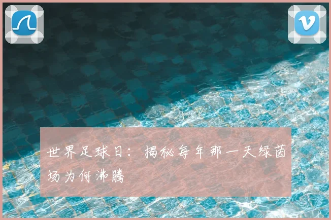 世界足球日:揭秘每年那一天绿茵场为何沸腾