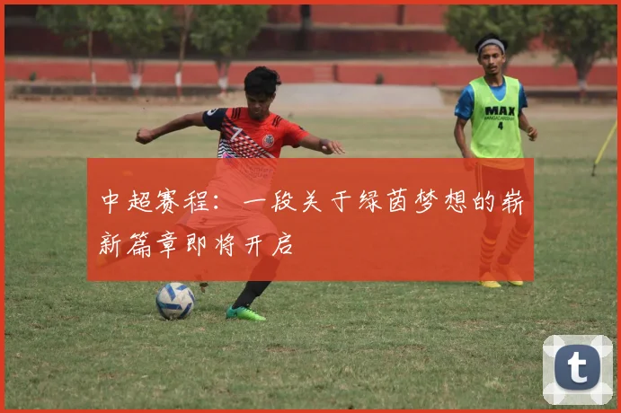 中超赛程：一段关于绿茵梦想的崭新篇章即将开启